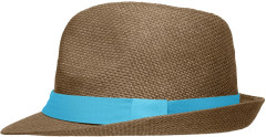 Brown/turquoise